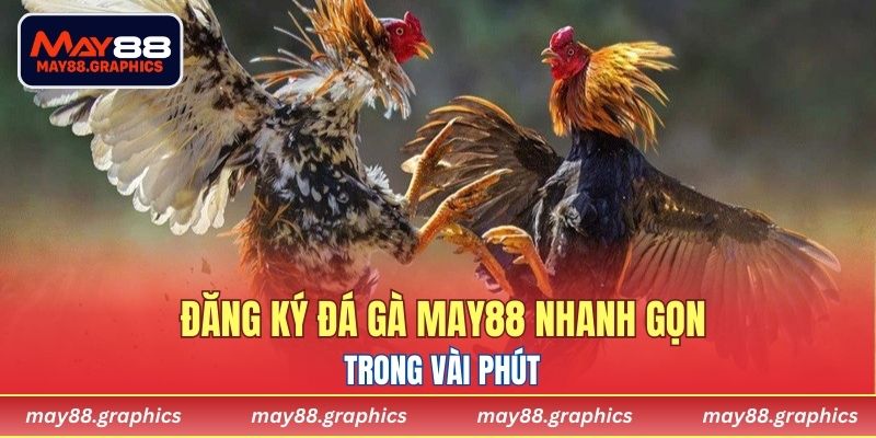 Đăng ký Đá Gà MAY88 nhanh gọn trong vài phút