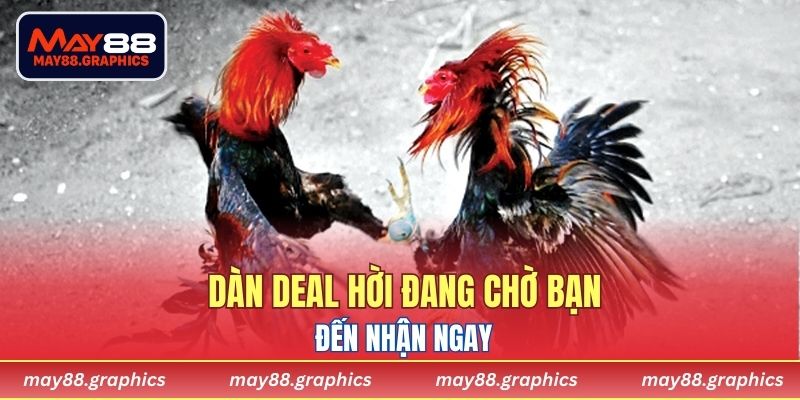 Dàn deal hời đang chờ bạn đến nhận ngay