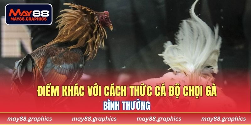 Điểm khác với cách thức cá độ chọi gà bình thường